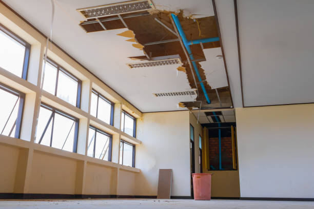 Best Mold removal after water damage  in Moyie Springs, ID