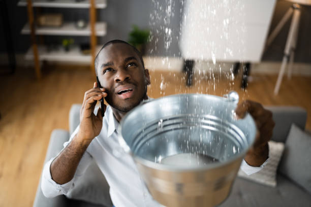 Best Flood restoration services  in Moyie Springs, ID
