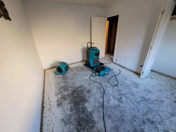 Best Water damage restoration specialists  in Moyie Springs, ID