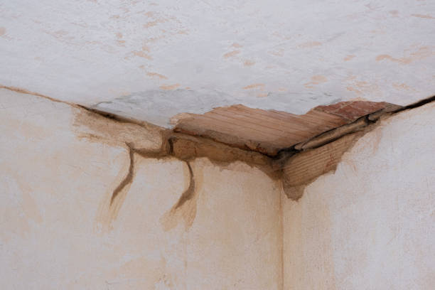 Best Basement water damage restoration  in Moyie Springs, ID