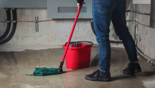 Best Ceiling water damage repair  in Moyie Springs, ID