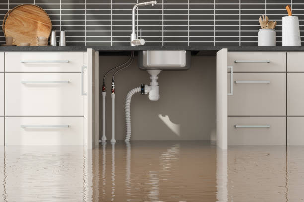 Best Carpet water damage restoration  in Moyie Springs, ID