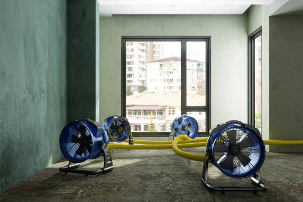  Moyie Springs, ID Water damage restoration Pros