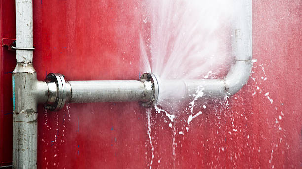 Best Flood damage cleanup  in Moyie Springs, ID
